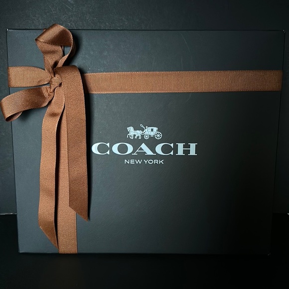 NWT Coach Belvedere Cashin Carry 22 Fire Island Graphic Leather Purse Handbag - Picture 7 of 15